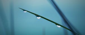 Preview wallpaper twigs, grass, background, blurred