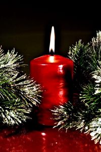 Preview wallpaper twigs, pine needles, christmas candle, surface