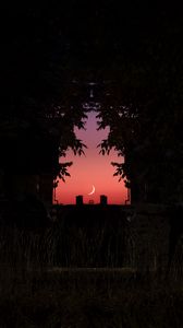 Preview wallpaper twilight, dark, moon, sky, branches