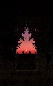 Preview wallpaper twilight, dark, moon, sky, branches