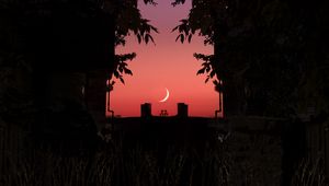 Preview wallpaper twilight, dark, moon, sky, branches