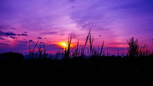 Preview wallpaper twilight, grass, sky