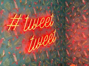 Preview wallpaper twitt, neon, inscription, birds, pattern