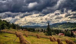 Preview wallpaper ukraine, bukovel, carpathians, field, grass