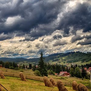 Preview wallpaper ukraine, bukovel, carpathians, field, grass