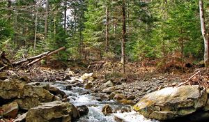 Preview wallpaper ukraine, carpathians, river, mountain, stones, wood