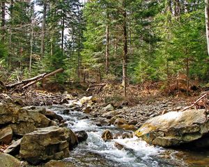 Preview wallpaper ukraine, carpathians, river, mountain, stones, wood