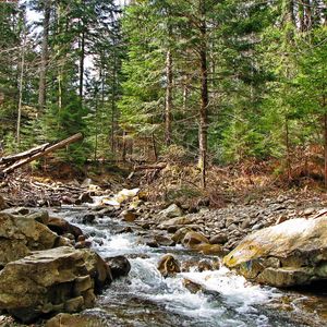 Preview wallpaper ukraine, carpathians, river, mountain, stones, wood