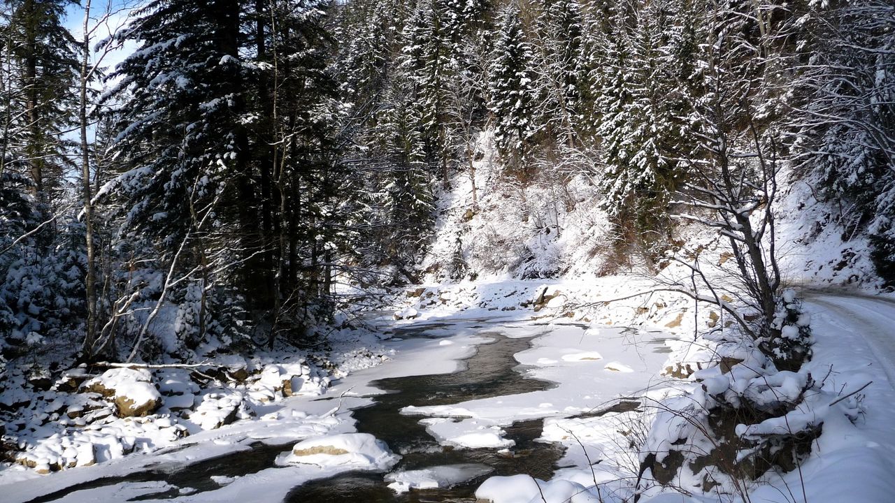 Wallpaper ukraine, carpathians, river, snow, trees, fir-trees, winter