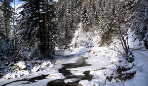 Preview wallpaper ukraine, carpathians, river, snow, trees, fir-trees, winter