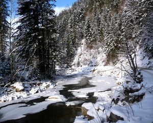 Preview wallpaper ukraine, carpathians, river, snow, trees, fir-trees, winter