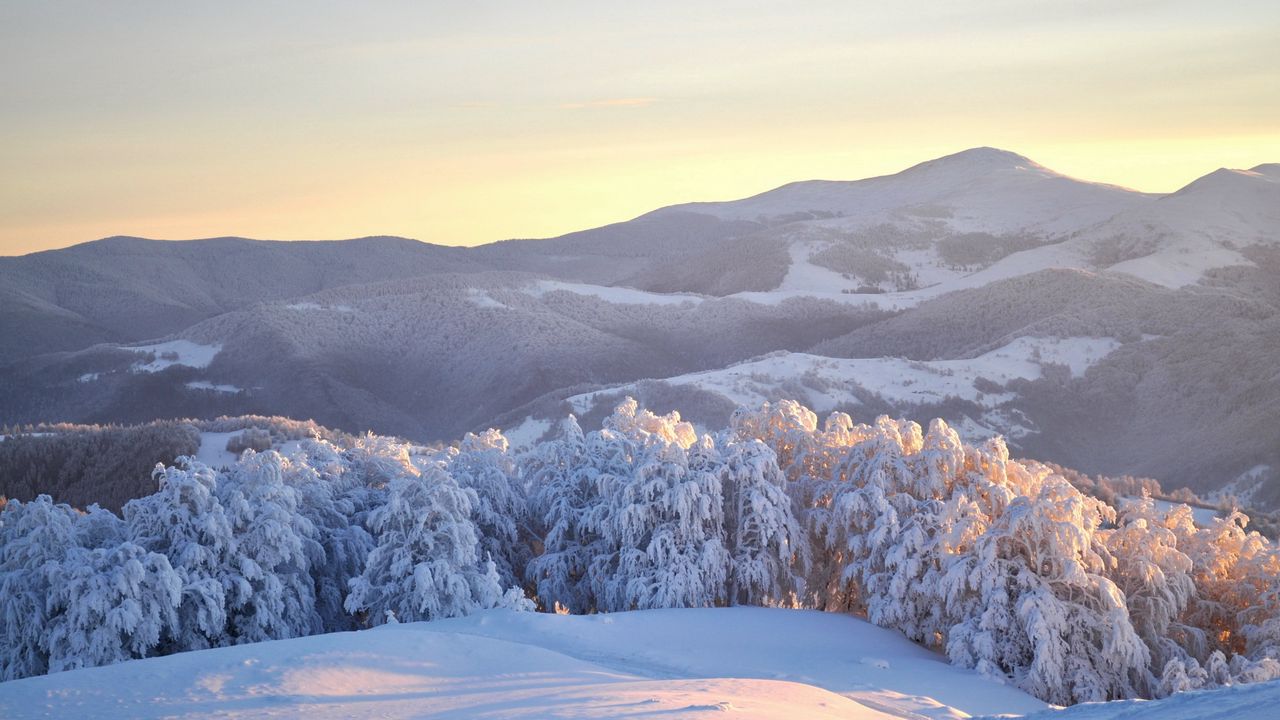 Wallpaper ukraine, carpathians, trees, winter, snow, fir-trees, weight