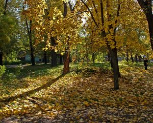 Preview wallpaper ukraine, dnepropetrovsk, wood, leaf fall, girl, shadows