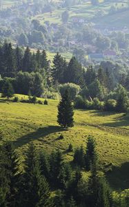 Preview wallpaper ukraine, transcarpathian region, mezhgorsky district pylypets