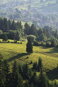 Preview wallpaper ukraine, transcarpathian region, mezhgorsky district pylypets