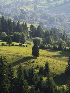 Preview wallpaper ukraine, transcarpathian region, mezhgorsky district pylypets