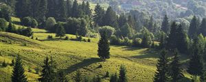 Preview wallpaper ukraine, transcarpathian region, mezhgorsky district pylypets