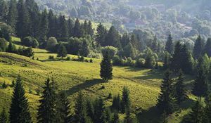 Preview wallpaper ukraine, transcarpathian region, mezhgorsky district pylypets