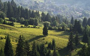 Preview wallpaper ukraine, transcarpathian region, mezhgorsky district pylypets