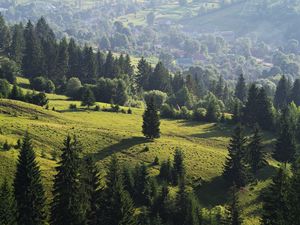 Preview wallpaper ukraine, transcarpathian region, mezhgorsky district pylypets