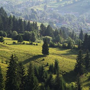 Preview wallpaper ukraine, transcarpathian region, mezhgorsky district pylypets