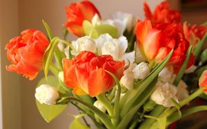 Preview wallpaper ulips, flowers, flowing, flower, blurring