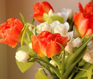 Preview wallpaper ulips, flowers, flowing, flower, blurring