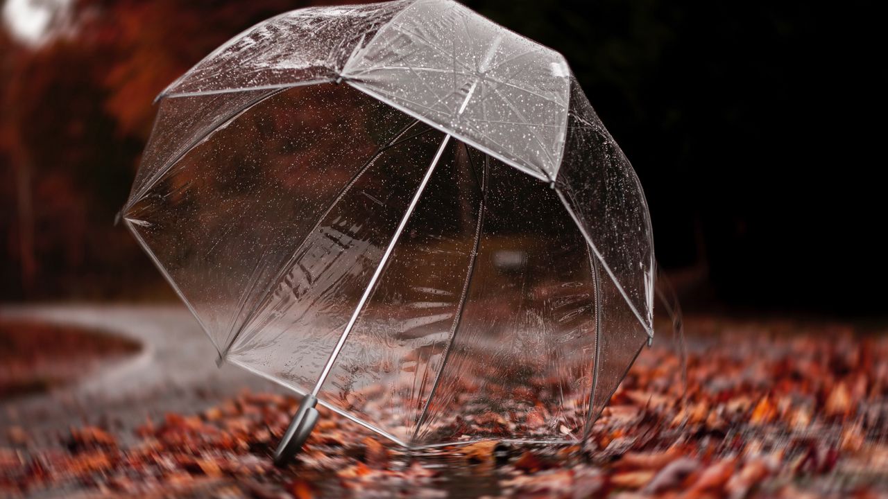 Wallpaper umbrella, autumn, rain, foliage