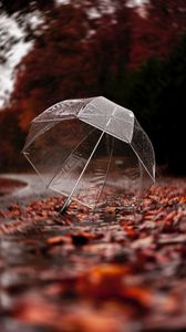 Preview wallpaper umbrella, autumn, rain, foliage