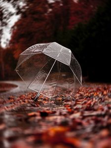 Preview wallpaper umbrella, autumn, rain, foliage