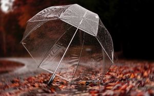 Preview wallpaper umbrella, autumn, rain, foliage