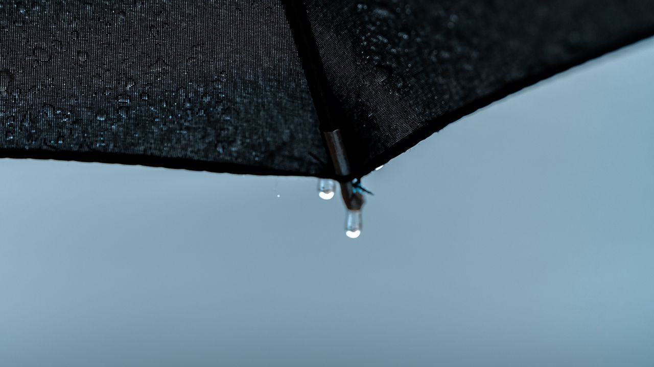Wallpaper umbrella, drops, wet, rain