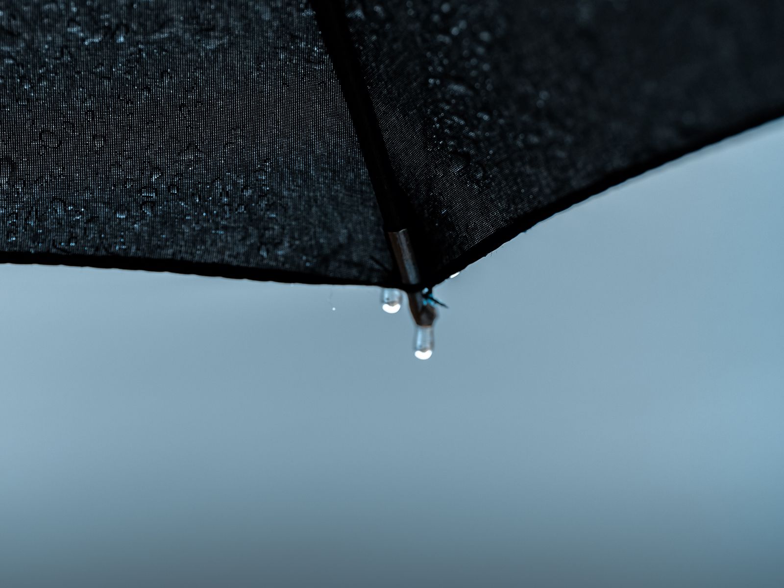 F rain. Зонт "капли". Капли дождя на зонте. Дождь картинки. Картинки на рабочий стол дождь.