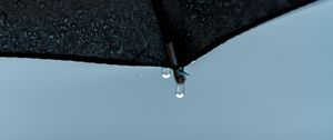 Preview wallpaper umbrella, drops, wet, rain