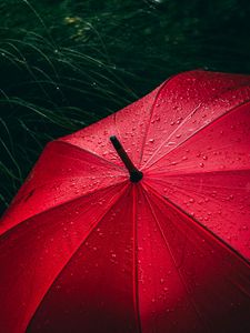 Preview wallpaper umbrella, grass, drops