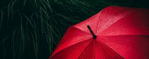 Preview wallpaper umbrella, grass, drops