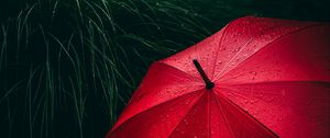 Preview wallpaper umbrella, grass, drops