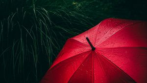 Preview wallpaper umbrella, grass, drops