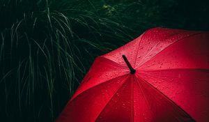 Preview wallpaper umbrella, grass, drops