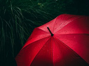 Preview wallpaper umbrella, grass, drops