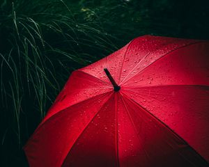 Preview wallpaper umbrella, grass, drops