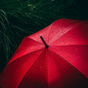 Preview wallpaper umbrella, grass, drops