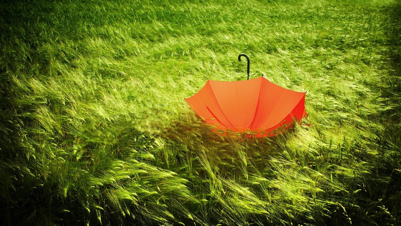 Wallpaper umbrella, grass, field, wind, bad weather