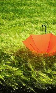 Preview wallpaper umbrella, grass, field, wind, bad weather