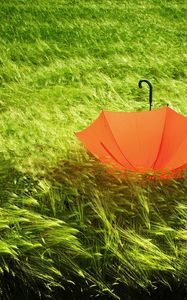 Preview wallpaper umbrella, grass, field, wind, bad weather