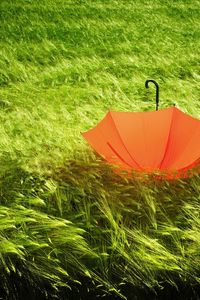 Preview wallpaper umbrella, grass, field, wind, bad weather