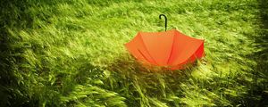 Preview wallpaper umbrella, grass, field, wind, bad weather