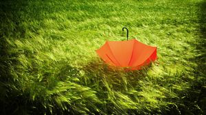 Preview wallpaper umbrella, grass, field, wind, bad weather