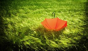 Preview wallpaper umbrella, grass, field, wind, bad weather