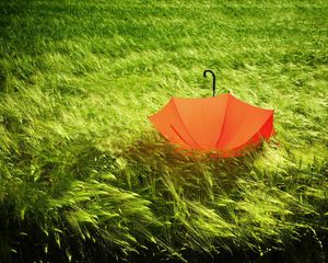 Preview wallpaper umbrella, grass, field, wind, bad weather